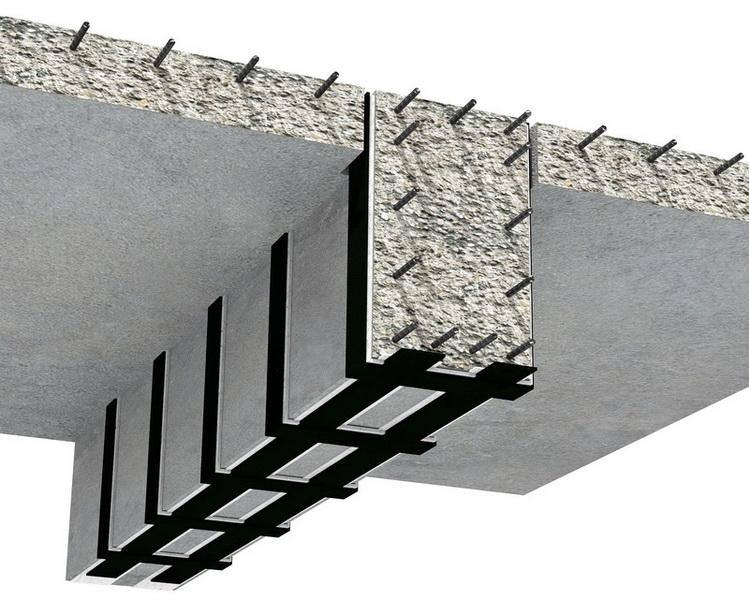 Проект Спектор-М